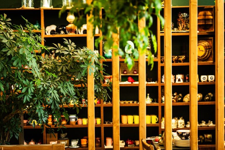 Discover Unique Gifts That Spark Joy at Whimsy Havens